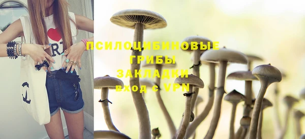 таблы Инсар