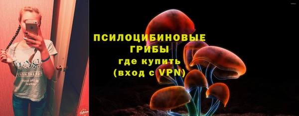 Альфа ПВП Иннополис